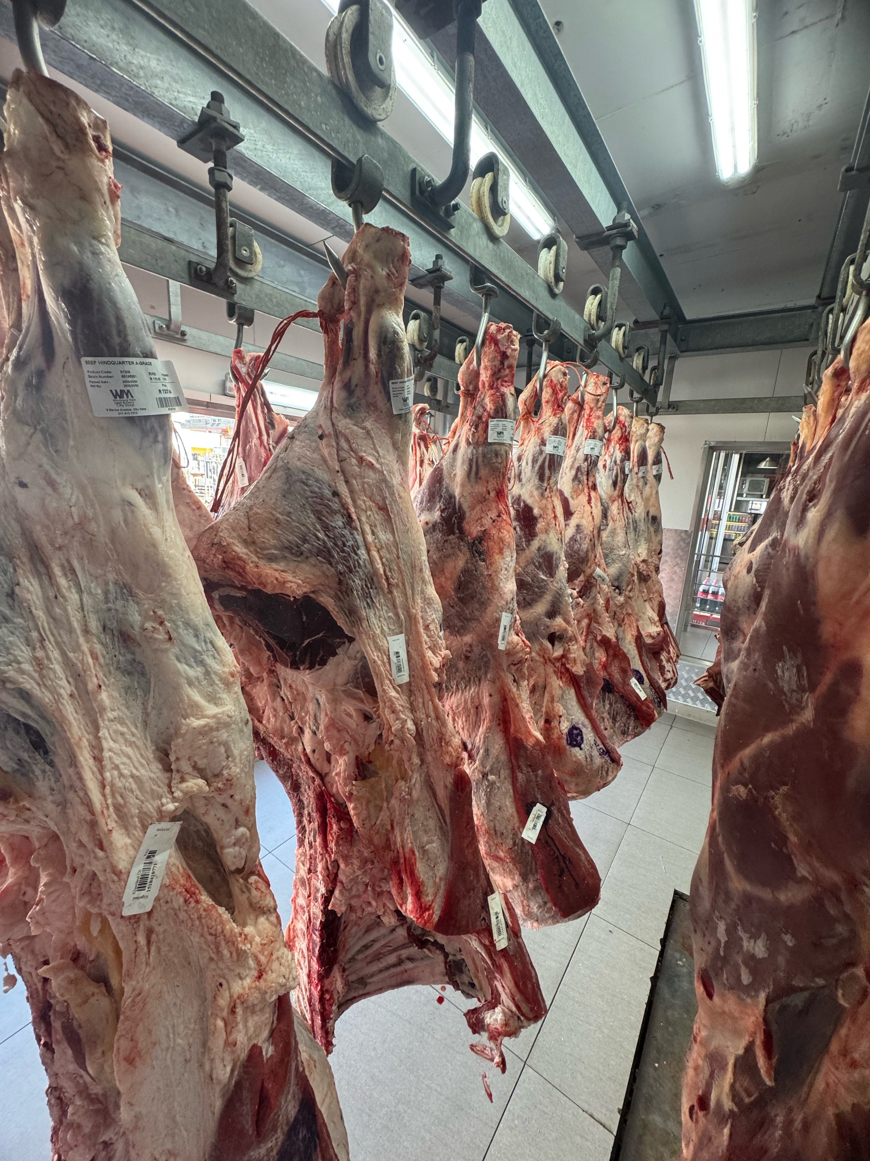 Frozen Beef Carcass