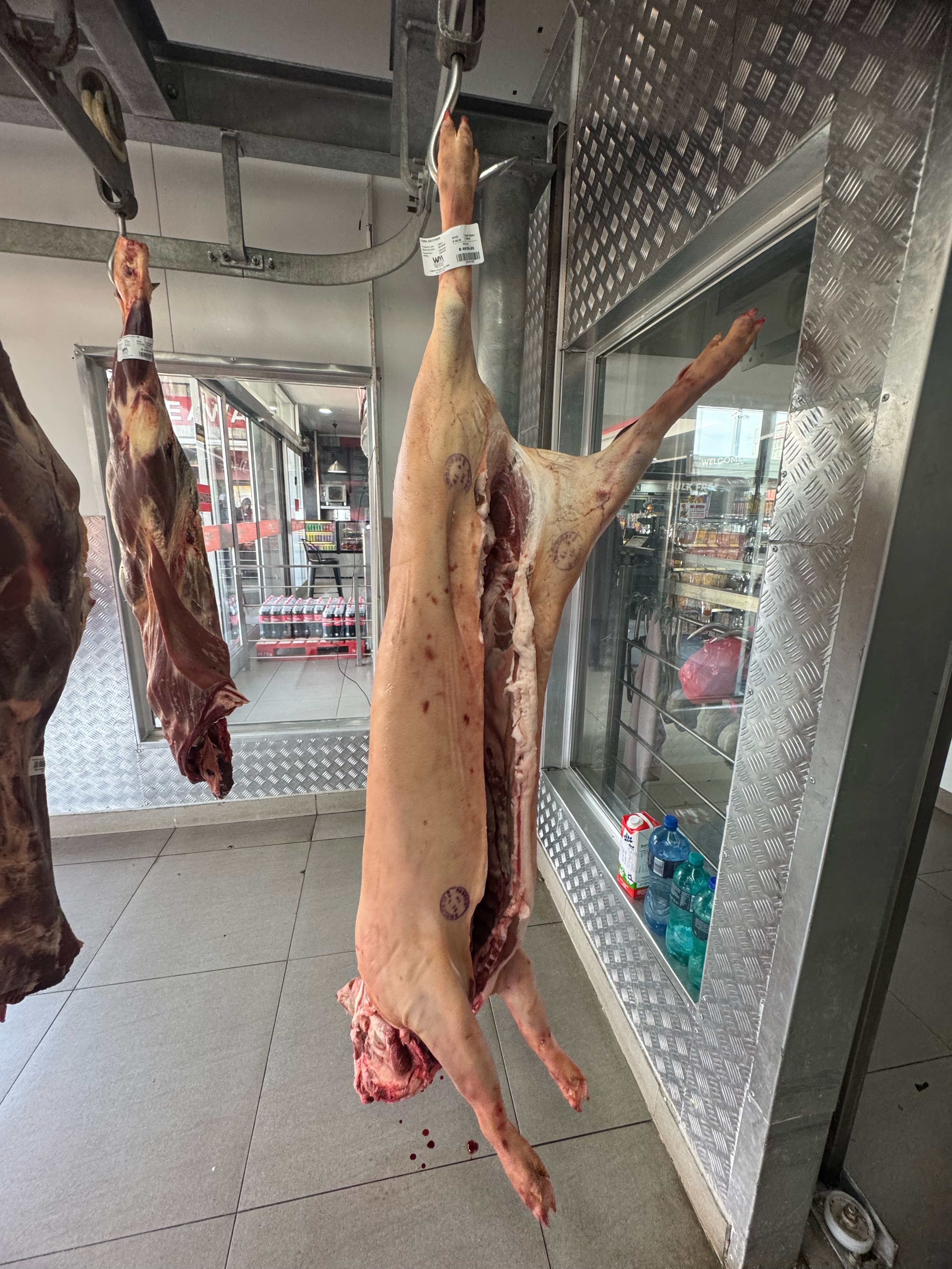 Frozen Pork Carcass